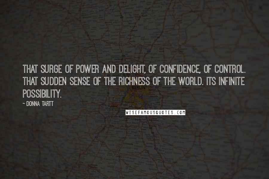 Donna Tartt Quotes: That surge of power and delight, of confidence, of control. That sudden sense of the richness of the world. Its infinite possibility.