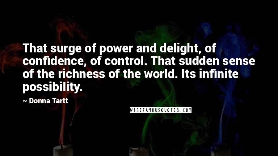 Donna Tartt Quotes: That surge of power and delight, of confidence, of control. That sudden sense of the richness of the world. Its infinite possibility.