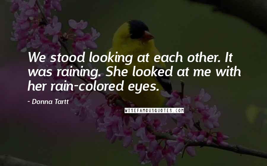 Donna Tartt Quotes: We stood looking at each other. It was raining. She looked at me with her rain-colored eyes.