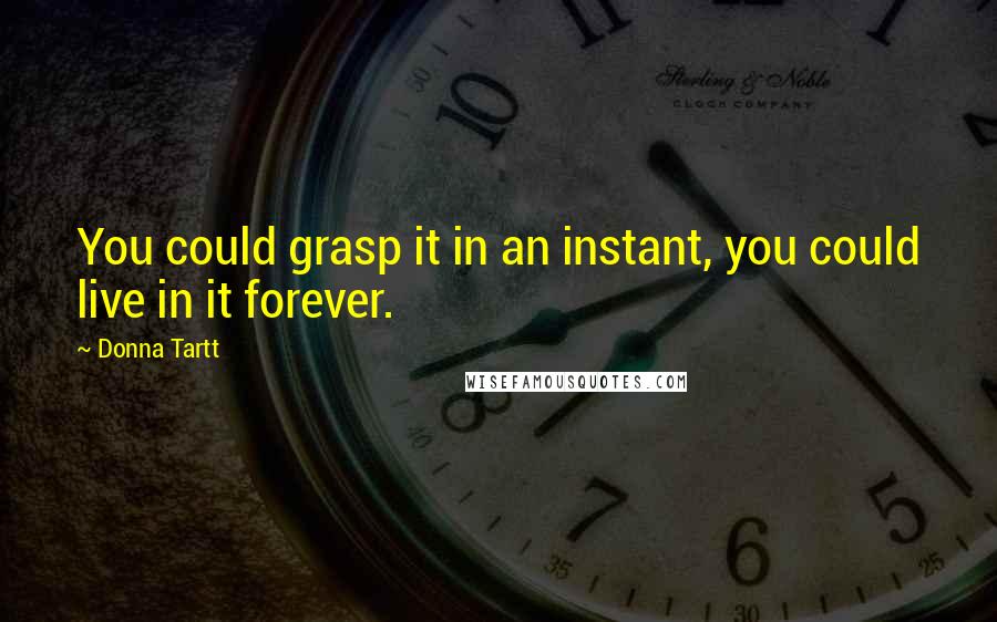Donna Tartt Quotes: You could grasp it in an instant, you could live in it forever.