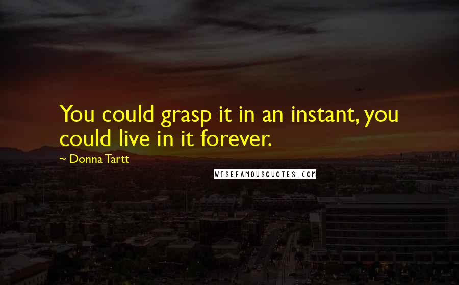 Donna Tartt Quotes: You could grasp it in an instant, you could live in it forever.