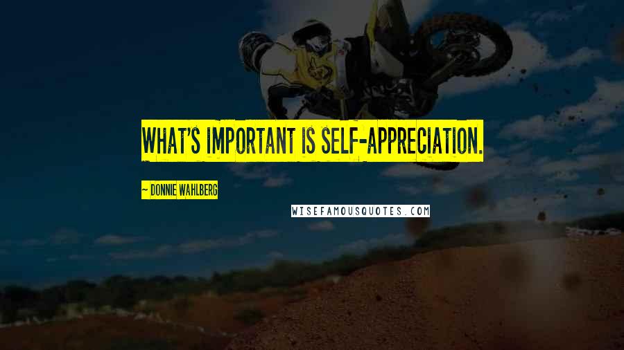 Donnie Wahlberg Quotes: What's important is self-appreciation.