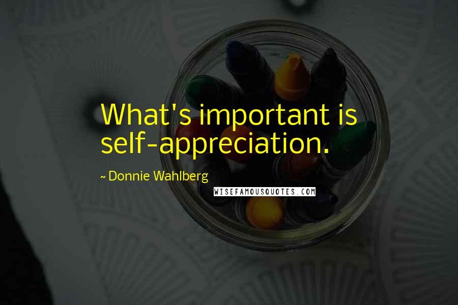 Donnie Wahlberg Quotes: What's important is self-appreciation.