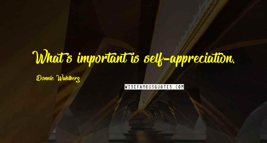 Donnie Wahlberg Quotes: What's important is self-appreciation.