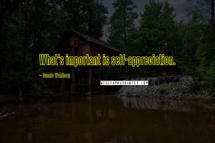 Donnie Wahlberg Quotes: What's important is self-appreciation.
