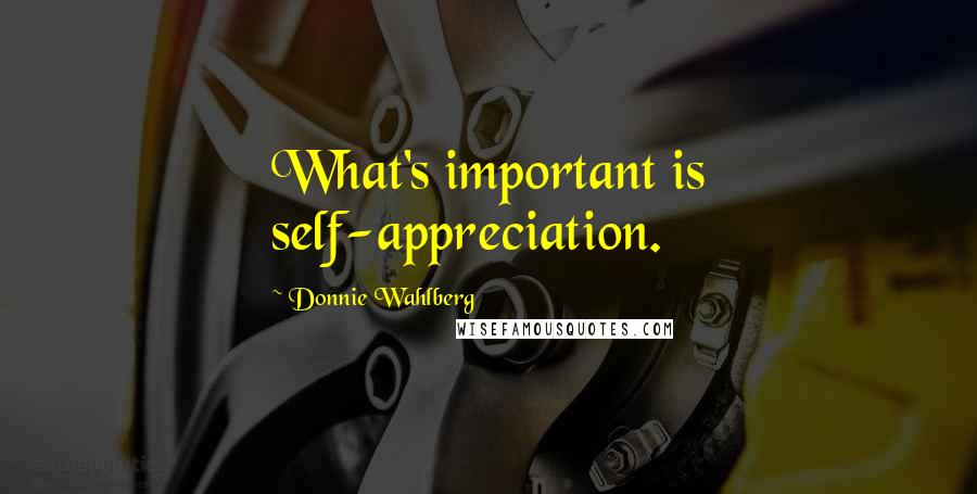 Donnie Wahlberg Quotes: What's important is self-appreciation.