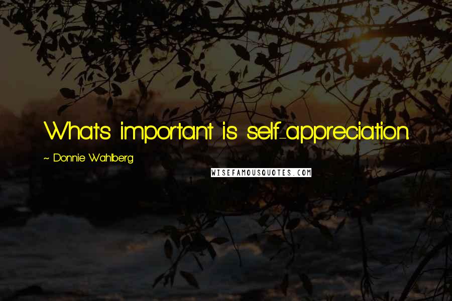 Donnie Wahlberg Quotes: What's important is self-appreciation.