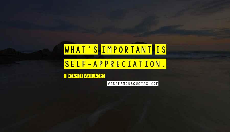 Donnie Wahlberg Quotes: What's important is self-appreciation.