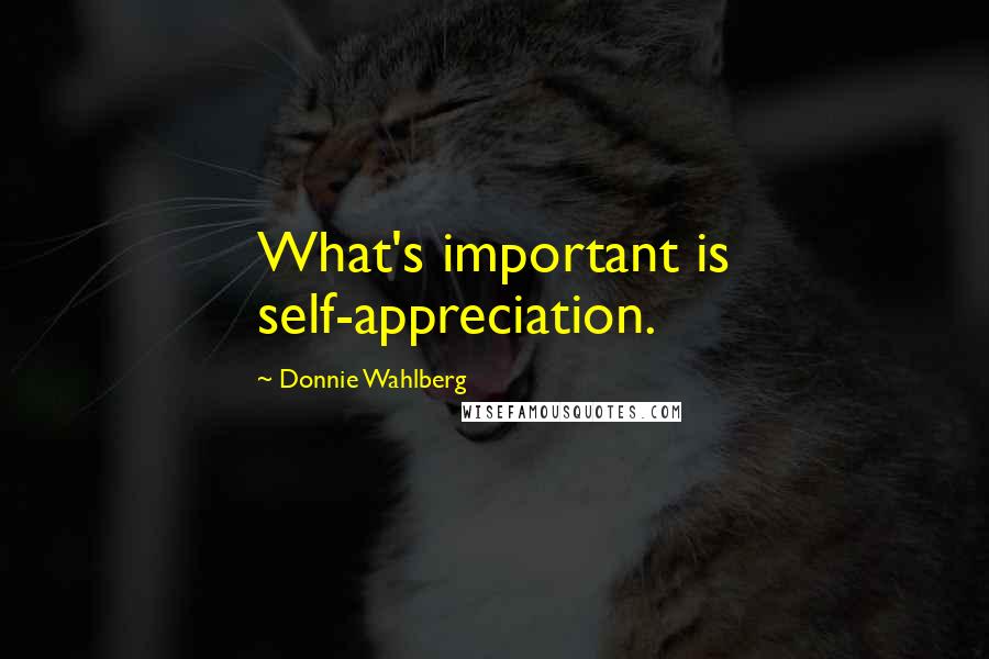 Donnie Wahlberg Quotes: What's important is self-appreciation.
