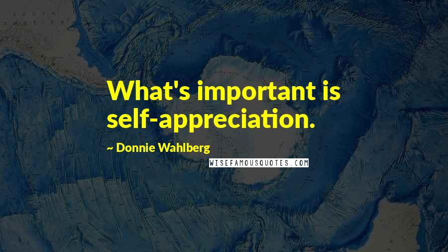 Donnie Wahlberg Quotes: What's important is self-appreciation.