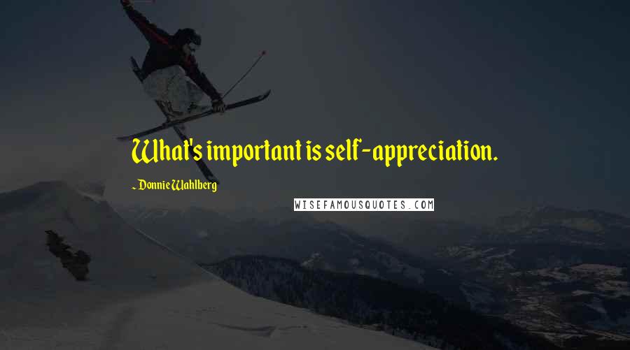 Donnie Wahlberg Quotes: What's important is self-appreciation.