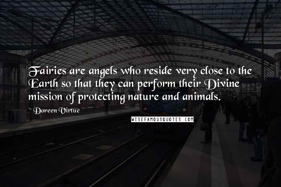 Doreen Virtue Quotes: Fairies are angels who reside very close to the Earth so that they can perform their Divine mission of protecting nature and animals.