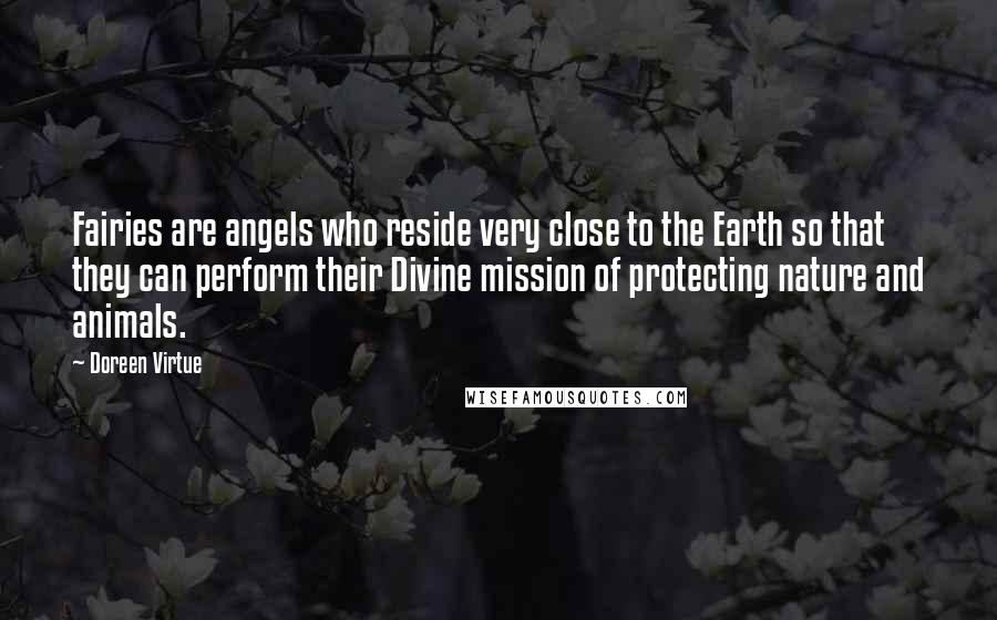 Doreen Virtue Quotes: Fairies are angels who reside very close to the Earth so that they can perform their Divine mission of protecting nature and animals.