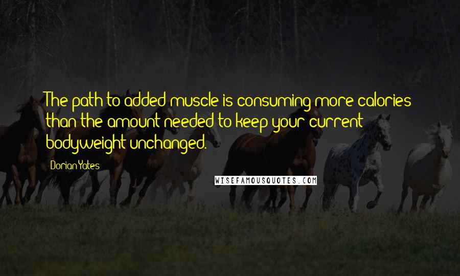 Dorian Yates Quotes: The path to added muscle is consuming more calories than the amount needed to keep your current bodyweight unchanged.