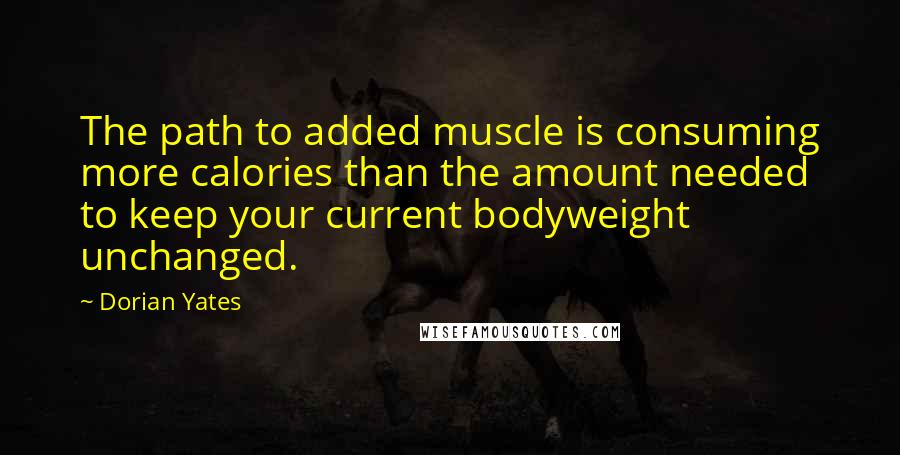 Dorian Yates Quotes: The path to added muscle is consuming more calories than the amount needed to keep your current bodyweight unchanged.