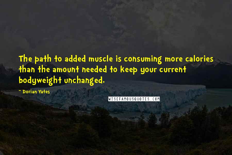 Dorian Yates Quotes: The path to added muscle is consuming more calories than the amount needed to keep your current bodyweight unchanged.