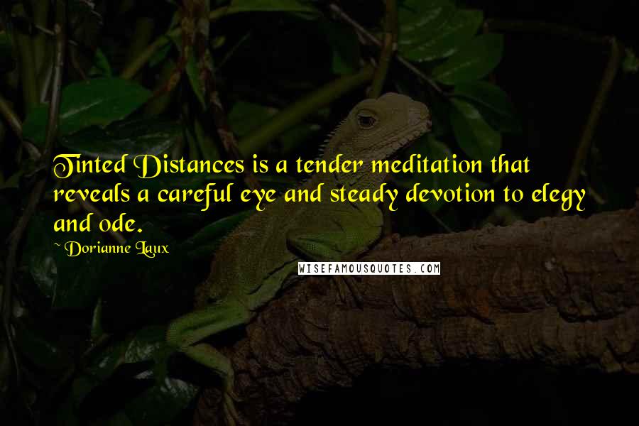 Dorianne Laux Quotes: Tinted Distances is a tender meditation that reveals a careful eye and steady devotion to elegy and ode.