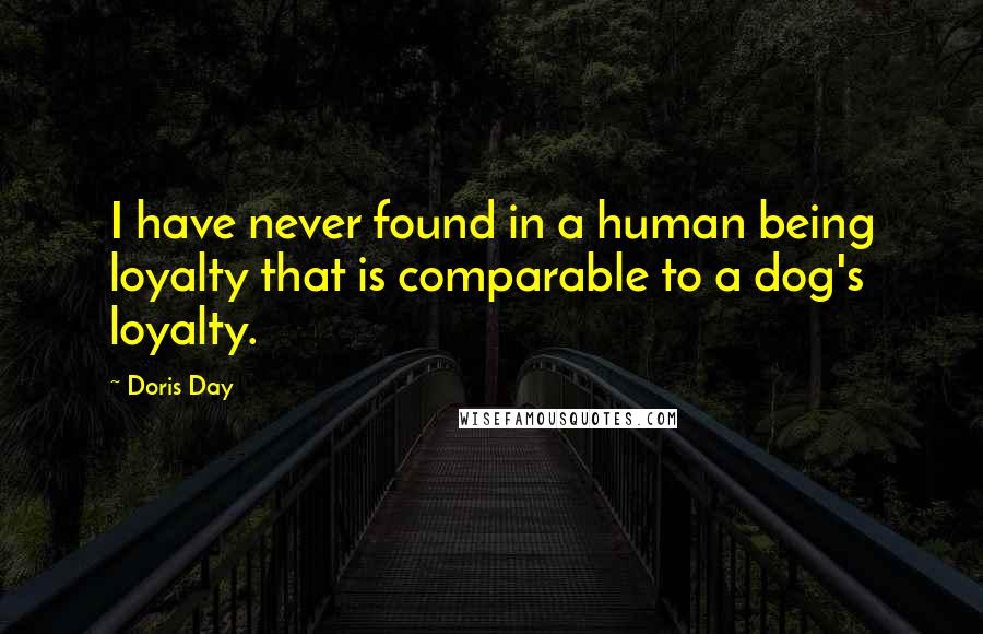 Doris Day Quotes: I have never found in a human being loyalty that is comparable to a dog's loyalty.