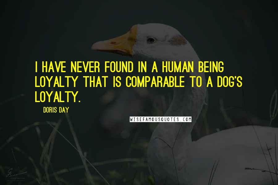 Doris Day Quotes: I have never found in a human being loyalty that is comparable to a dog's loyalty.