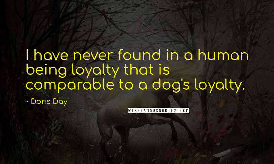 Doris Day Quotes: I have never found in a human being loyalty that is comparable to a dog's loyalty.