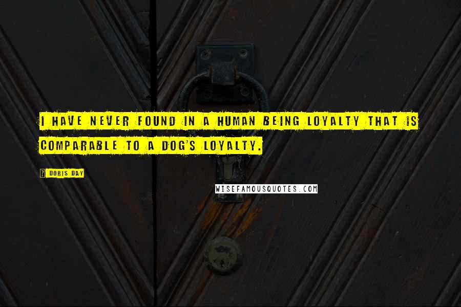 Doris Day Quotes: I have never found in a human being loyalty that is comparable to a dog's loyalty.