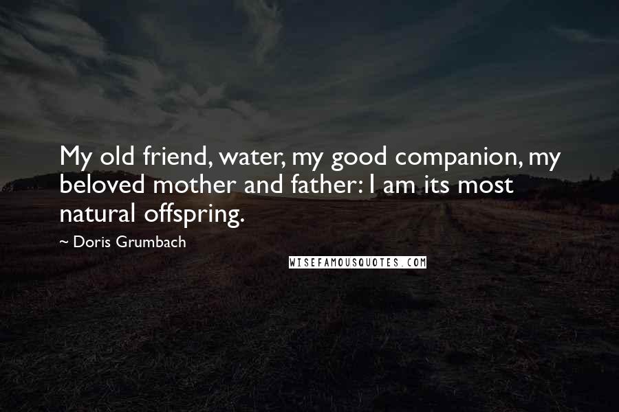 Doris Grumbach Quotes: My old friend, water, my good companion, my beloved mother and father: I am its most natural offspring.