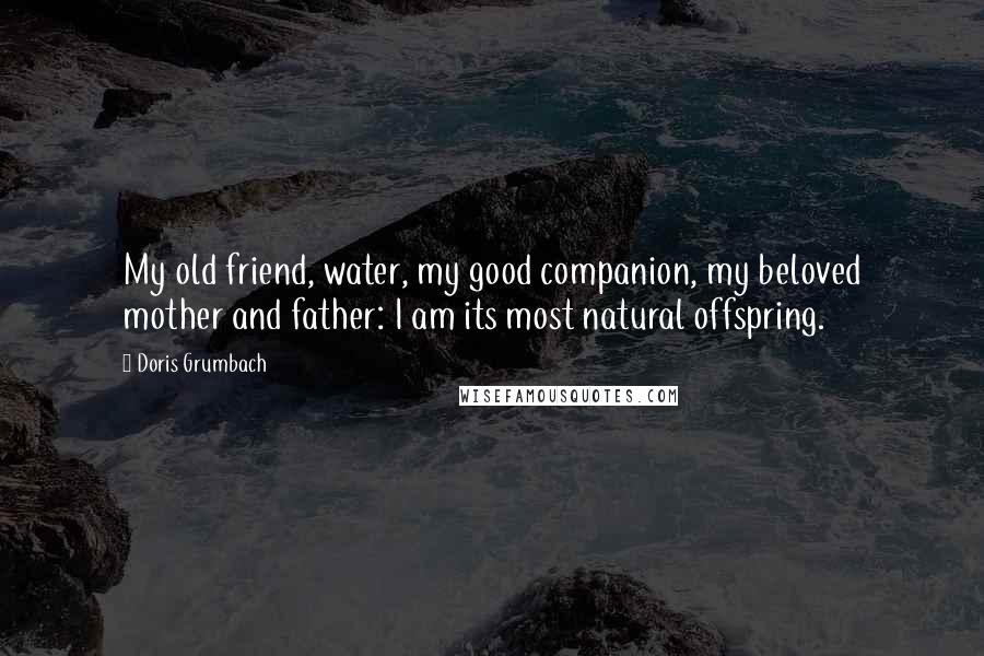 Doris Grumbach Quotes: My old friend, water, my good companion, my beloved mother and father: I am its most natural offspring.