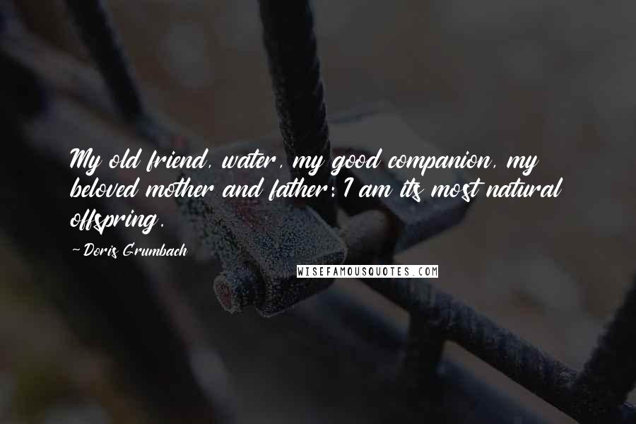 Doris Grumbach Quotes: My old friend, water, my good companion, my beloved mother and father: I am its most natural offspring.