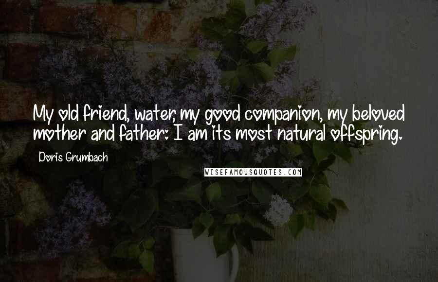 Doris Grumbach Quotes: My old friend, water, my good companion, my beloved mother and father: I am its most natural offspring.