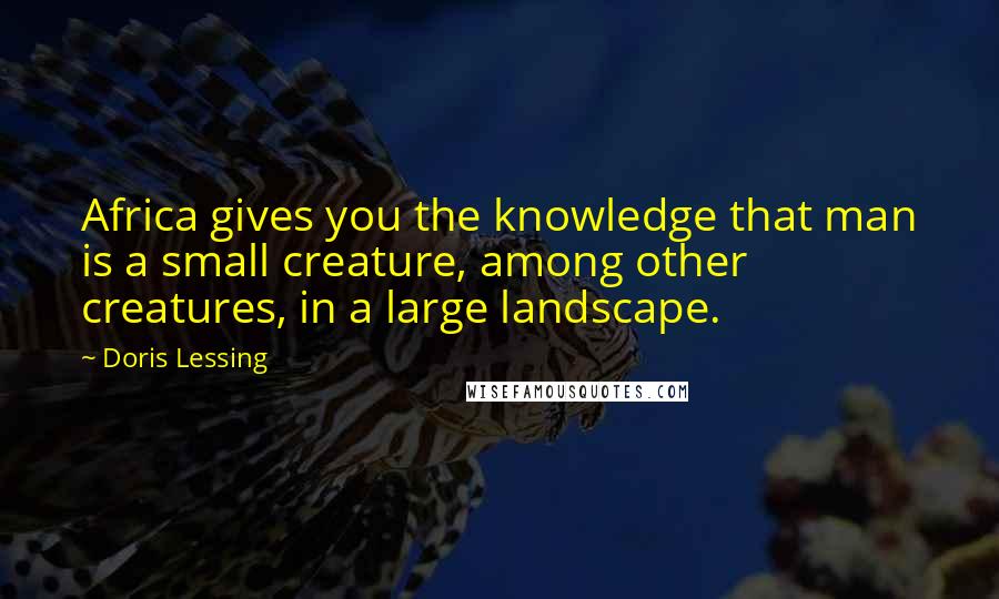 Doris Lessing Quotes: Africa gives you the knowledge that man is a small creature, among other creatures, in a large landscape.