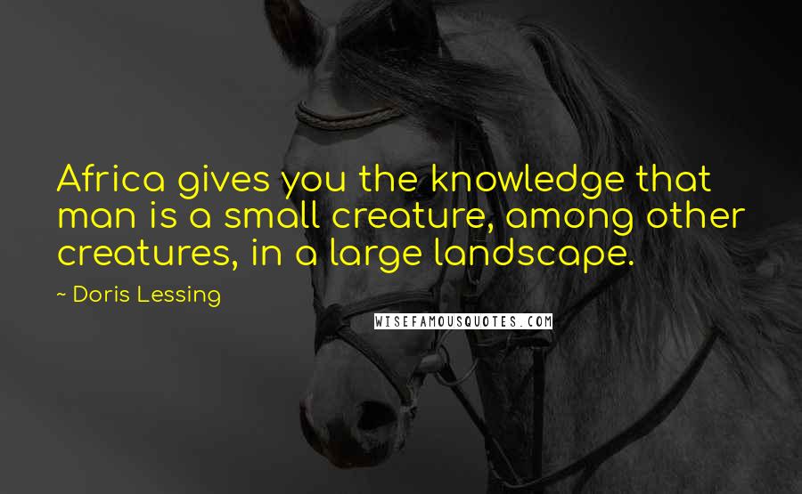 Doris Lessing Quotes: Africa gives you the knowledge that man is a small creature, among other creatures, in a large landscape.