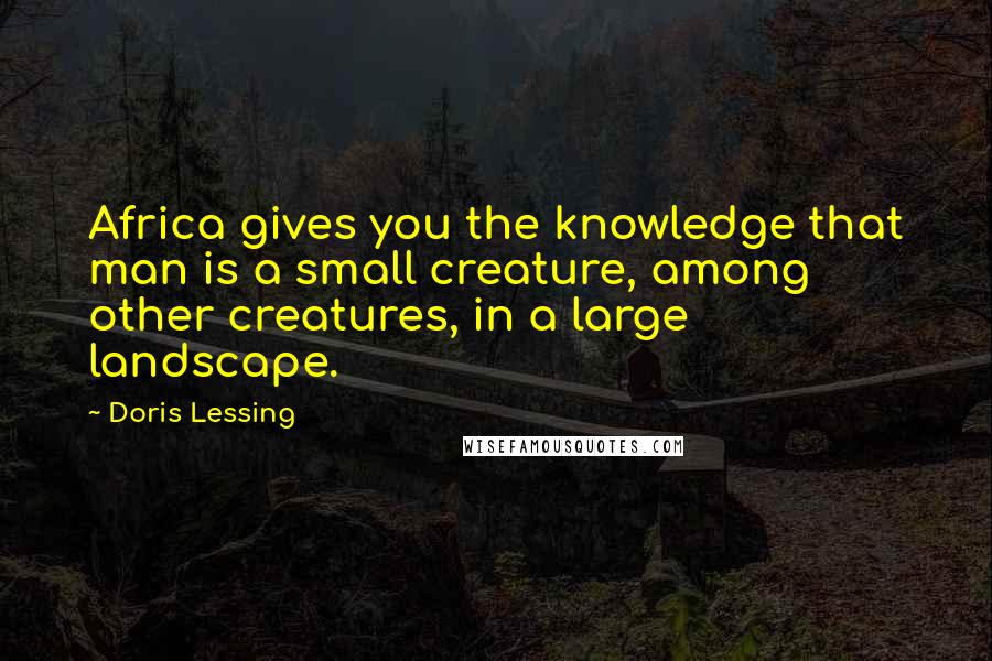 Doris Lessing Quotes: Africa gives you the knowledge that man is a small creature, among other creatures, in a large landscape.