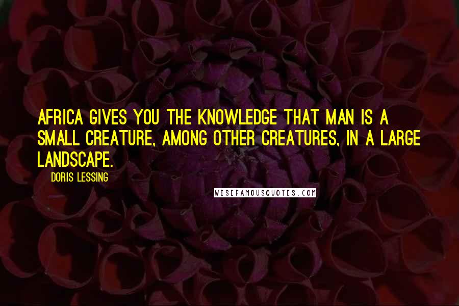 Doris Lessing Quotes: Africa gives you the knowledge that man is a small creature, among other creatures, in a large landscape.