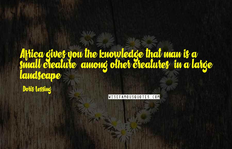 Doris Lessing Quotes: Africa gives you the knowledge that man is a small creature, among other creatures, in a large landscape.