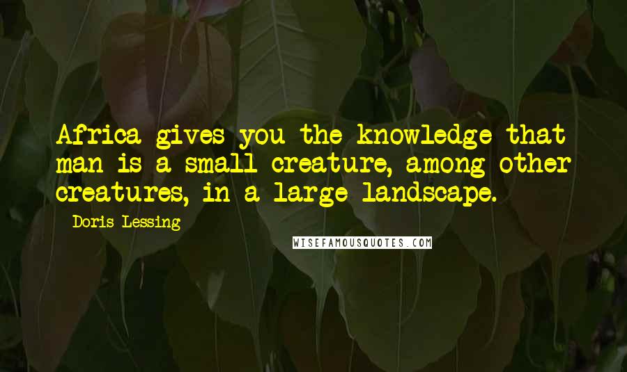 Doris Lessing Quotes: Africa gives you the knowledge that man is a small creature, among other creatures, in a large landscape.