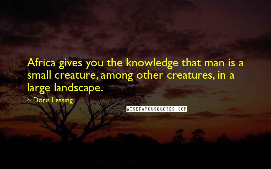 Doris Lessing Quotes: Africa gives you the knowledge that man is a small creature, among other creatures, in a large landscape.