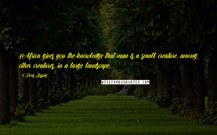 Doris Lessing Quotes: Africa gives you the knowledge that man is a small creature, among other creatures, in a large landscape.