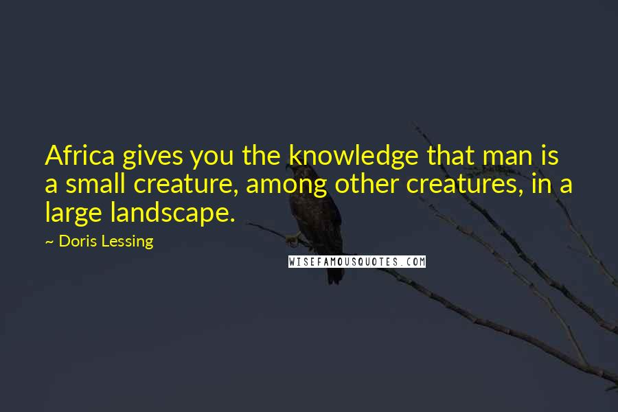 Doris Lessing Quotes: Africa gives you the knowledge that man is a small creature, among other creatures, in a large landscape.