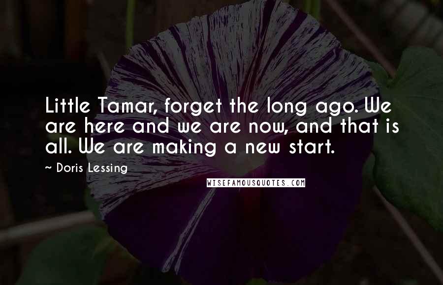 Doris Lessing Quotes: Little Tamar, forget the long ago. We are here and we are now, and that is all. We are making a new start.