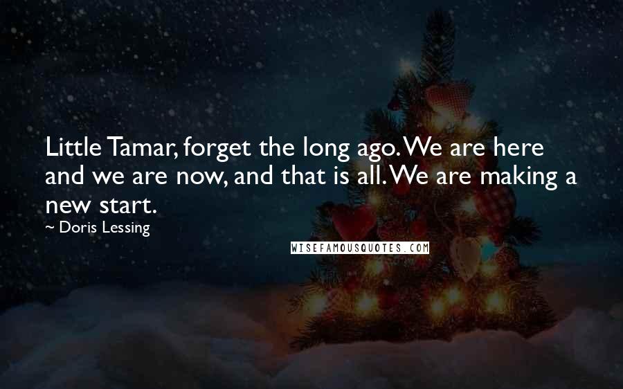 Doris Lessing Quotes: Little Tamar, forget the long ago. We are here and we are now, and that is all. We are making a new start.