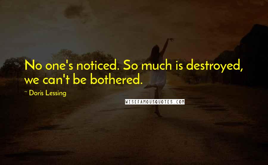 Doris Lessing Quotes: No one's noticed. So much is destroyed, we can't be bothered.