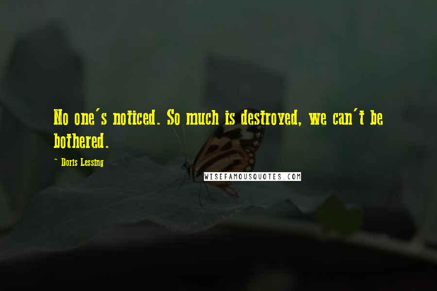 Doris Lessing Quotes: No one's noticed. So much is destroyed, we can't be bothered.