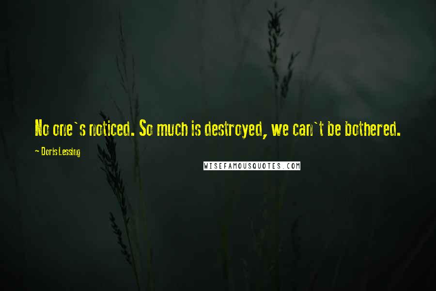 Doris Lessing Quotes: No one's noticed. So much is destroyed, we can't be bothered.