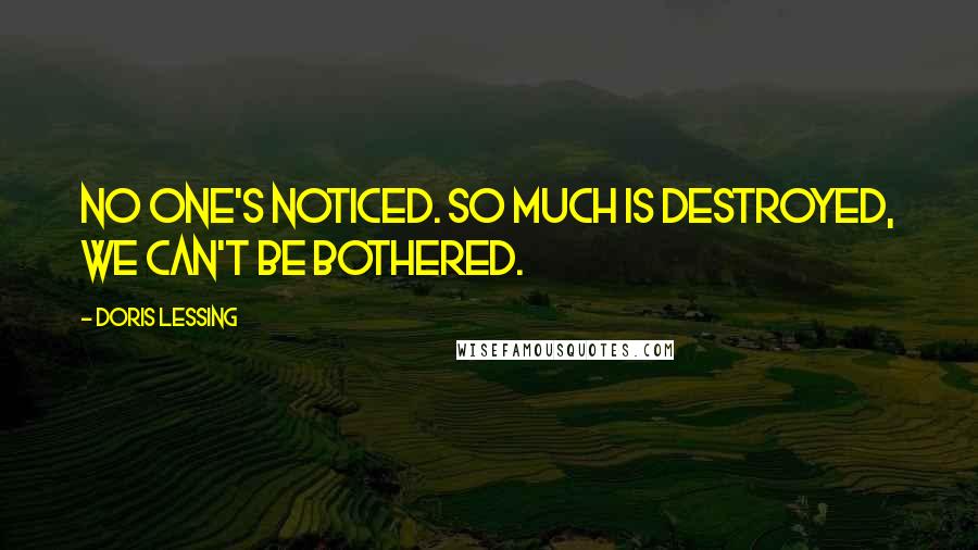 Doris Lessing Quotes: No one's noticed. So much is destroyed, we can't be bothered.