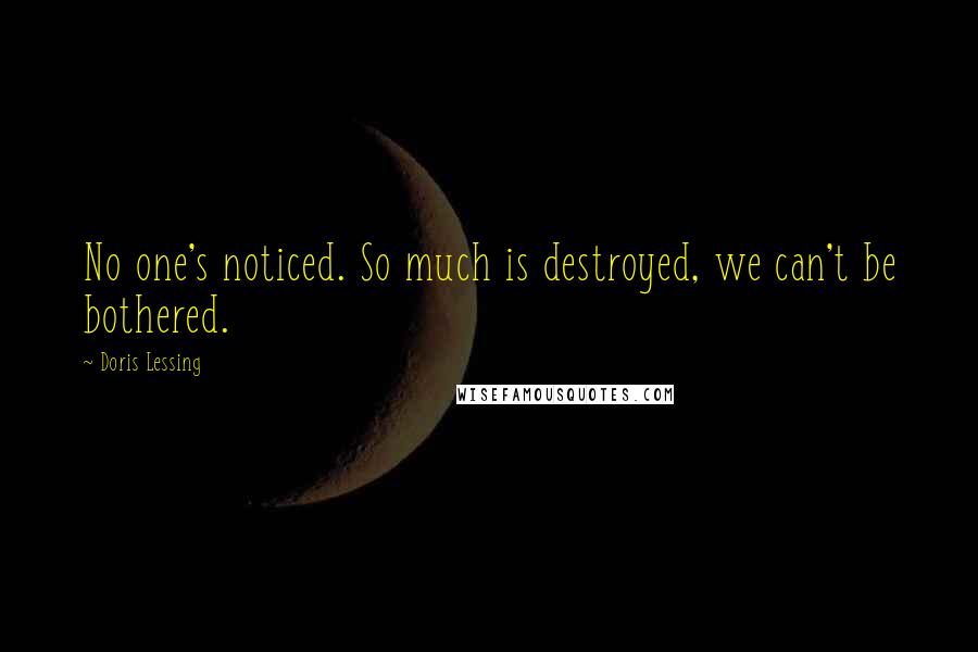 Doris Lessing Quotes: No one's noticed. So much is destroyed, we can't be bothered.