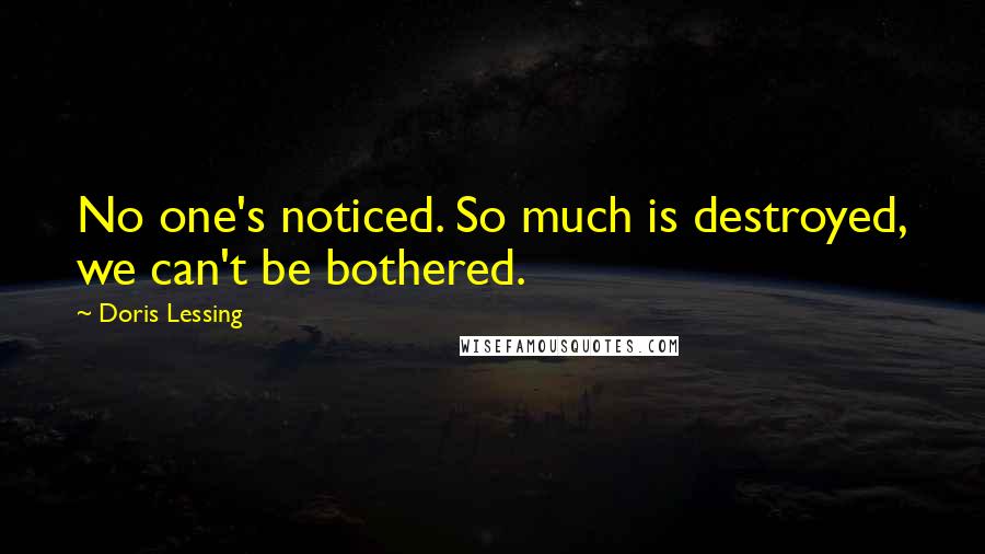 Doris Lessing Quotes: No one's noticed. So much is destroyed, we can't be bothered.