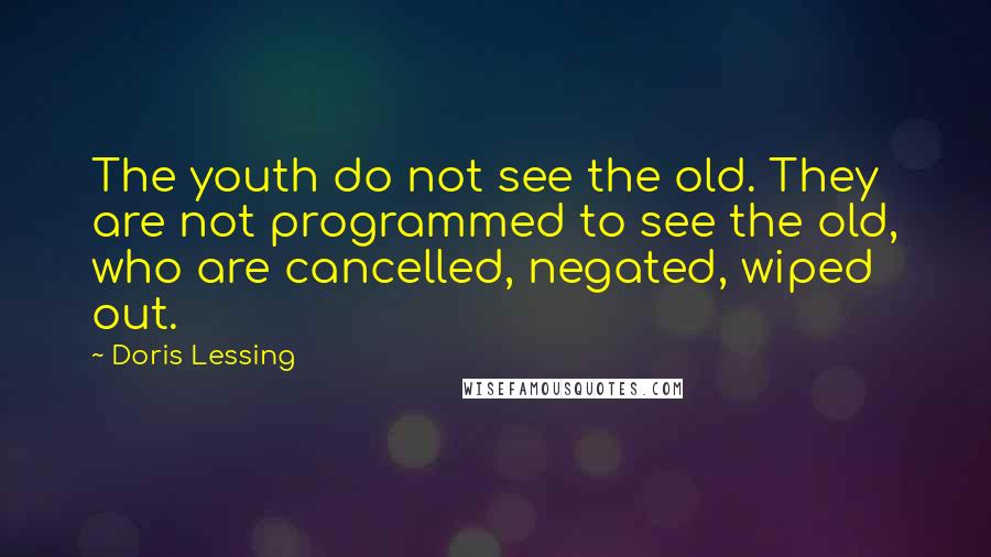 Doris Lessing Quotes: The youth do not see the old. They are not programmed to see the old, who are cancelled, negated, wiped out.