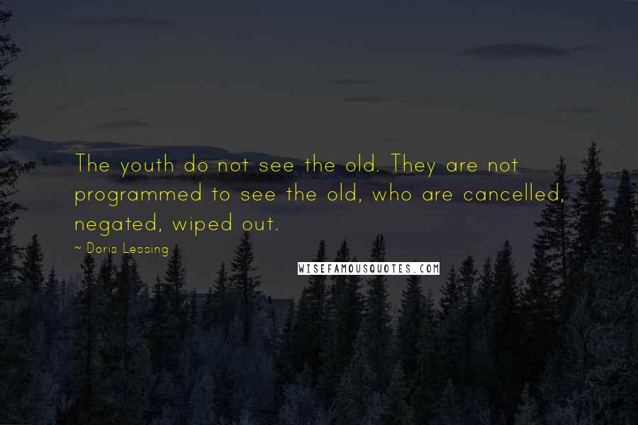 Doris Lessing Quotes: The youth do not see the old. They are not programmed to see the old, who are cancelled, negated, wiped out.