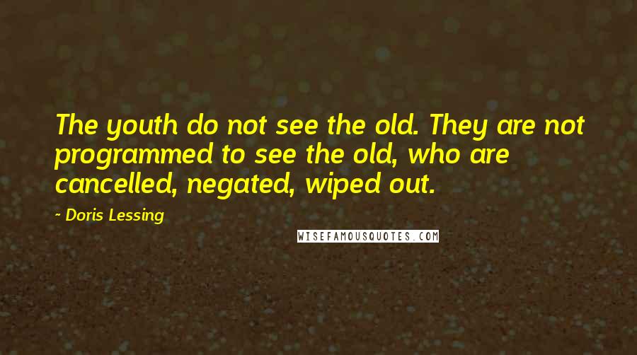 Doris Lessing Quotes: The youth do not see the old. They are not programmed to see the old, who are cancelled, negated, wiped out.