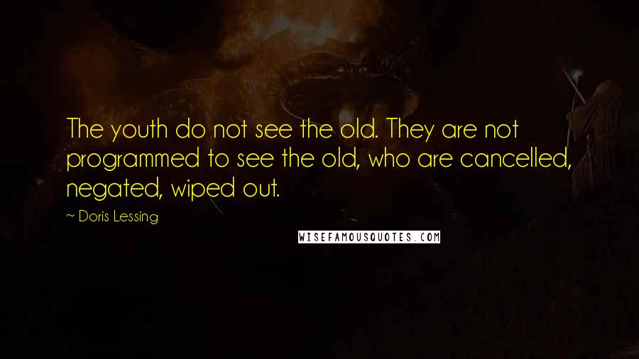 Doris Lessing Quotes: The youth do not see the old. They are not programmed to see the old, who are cancelled, negated, wiped out.